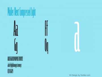 Muller Next Compressed Light Version 2.000 | FøM Fix图片样张