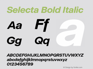 Selecta Bold Italic Version 1.001;hotconv 1.0.109;makeotfexe 2.5.65596图片样张