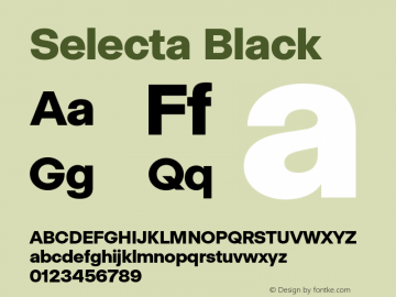 Selecta Black Version 1.001;hotconv 1.0.109;makeotfexe 2.5.65596图片样张