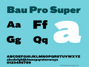 BauPro-Super Version 7.600图片样张
