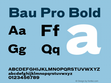 BauPro-Bold Version 7.600图片样张