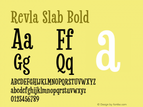 Revla Slab Bold Version 1.000 | FøM Fix图片样张