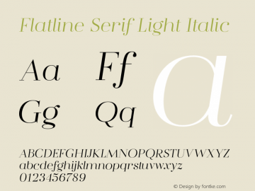 Flatline Serif Light Italic Version 1.000;FEAKit 1.0图片样张