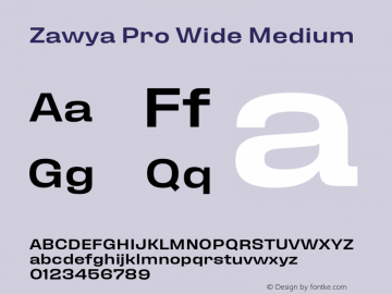 Zawya Pro Wide Medium Version 1.000 | FøM Fix图片样张