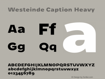 Westeinde Caption Heavy Version 1.000 | web-otf图片样张