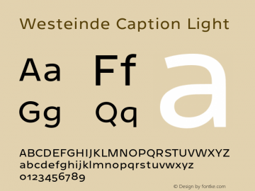 Westeinde Caption Light Version 1.000 | web-otf图片样张
