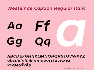 Westeinde Caption Regular Italic Version 1.000 | web-otf图片样张