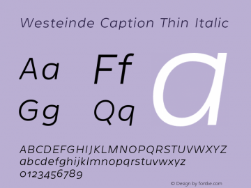 Westeinde Caption Thin Italic Version 1.000 | web-otf图片样张