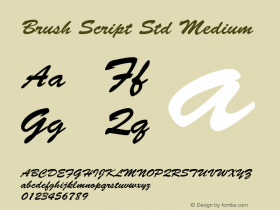 BrushScriptStd Version 2.000 Build 1000图片样张