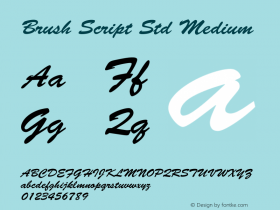 Brush Script Std Medium Version 2.00 Build 1000图片样张