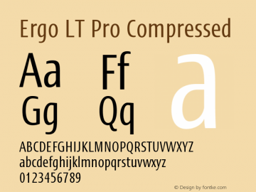 ErgoLTPro-Compressed Version 1.000;PS 001.000;hotconv 1.0.38图片样张