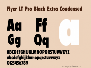 FlyerLTPro-BlackXCondensed Version 1.000 Build 1000图片样张