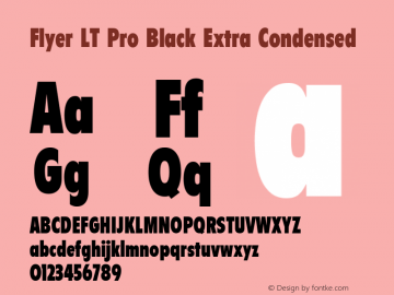 Flyer LT Pro Black Extra Condensed Version 1.00 Build 1000图片样张