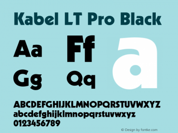 Kabel LT Pro Black Version 1.00 Build 1000图片样张