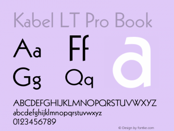 KabelLTPro-Book Version 1.000 Build 1000图片样张