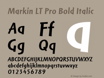 MarkinLTPro-BoldItalic Version 1.000;PS 001.000;hotconv 1.0.38图片样张