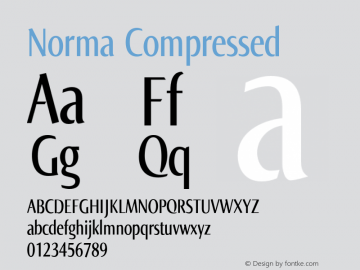 Norma Compressed Version 2.00, build 4, s3图片样张