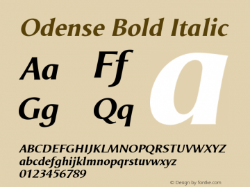 Odense Bold Italic Version 1.00图片样张