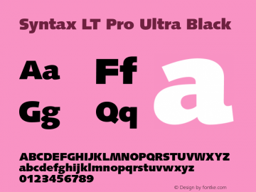 Syntax LT Pro UltraBlack Version 2.000 Build 1000图片样张
