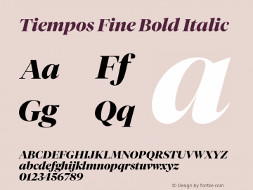 Tiempos Fine Bold Italic Version 1.007;hotconv 1.0.116;makeotfexe 2.5.65601图片样张