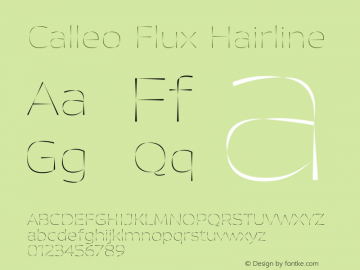 Calleo Flux Hairline Version 1.0图片样张