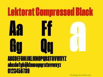 Lektorat Compressed Black Version 1.002图片样张