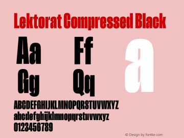 Lektorat Compressed Black Version 1.002图片样张