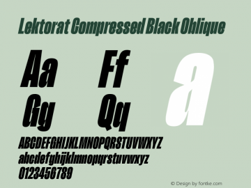 Lektorat Compressed Black Oblique Version 1.002图片样张