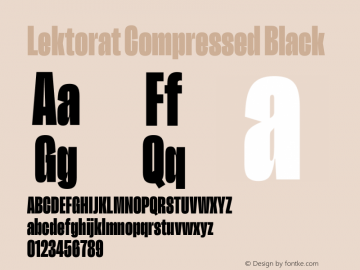 Lektorat Compressed Black Version 1.002图片样张