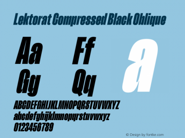 Lektorat Compressed Black Oblique Version 1.002图片样张