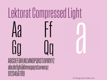 Lektorat Compressed Light Version 1.002图片样张