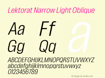 Lektorat Narrow Light Oblique Version 1.002图片样张