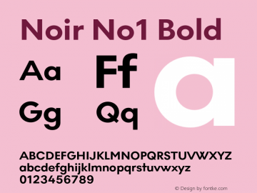 Noir No1 Bold Version 1.001;PS 001.001;hotconv 1.0.88;makeotf.lib2.5.64775图片样张