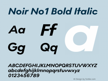 Noir No1 Bold Italic Version 0.009;PS 000.009;hotconv 1.0.88;makeotf.lib2.5.64775图片样张