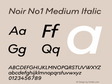 Noir No1 Medium Italic Version 1.001;PS 001.001;hotconv 1.0.88;makeotf.lib2.5.64775图片样张