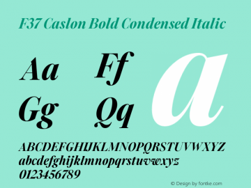F37 Caslon Bold Condensed Italic Version 2.000;FEAKit 1.0图片样张