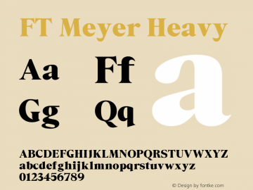 FT Meyer Heavy Version 1.000;Glyphs 3.1.2 (3151)图片样张