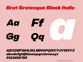 Brut Grotesque Black Italic Version 6.002;hotconv 1.0.117;makeotfexe 2.5.65602图片样张