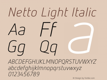 Netto Light Italic Version 1.000图片样张