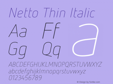 Netto Thin Italic Version 1.000图片样张
