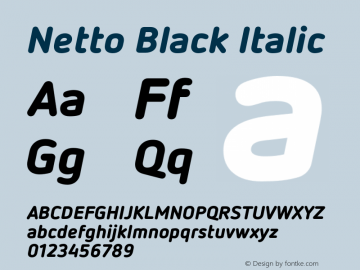 Netto Black Italic Version 1.000图片样张