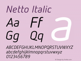 Netto Regular Italic Version 1.000图片样张