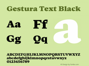 Gestura Text Black Version 1.001图片样张