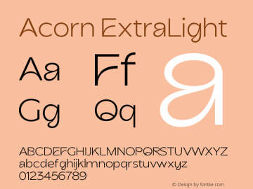 Acorn ExtraLight Version 1.000;Glyphs 3.1.2 (3151)图片样张