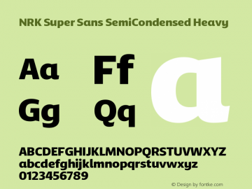 NRK Super Sans SemiCondensed Heavy Version 1.010图片样张