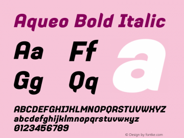 Aqueo Bold Italic Version 1.000;hotconv 1.0.109;makeotfexe 2.5.65596图片样张