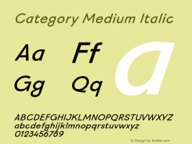 Category Medium Italic Version 1.200 | web-otf图片样张