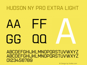 Hudson NY Pro Extra Light Version 1.080图片样张