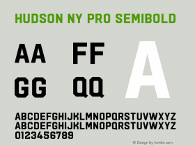 Hudson NY Pro SemiBold Version 1.080图片样张