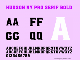 Hudson NY Pro Serif Bold Version 1.080图片样张